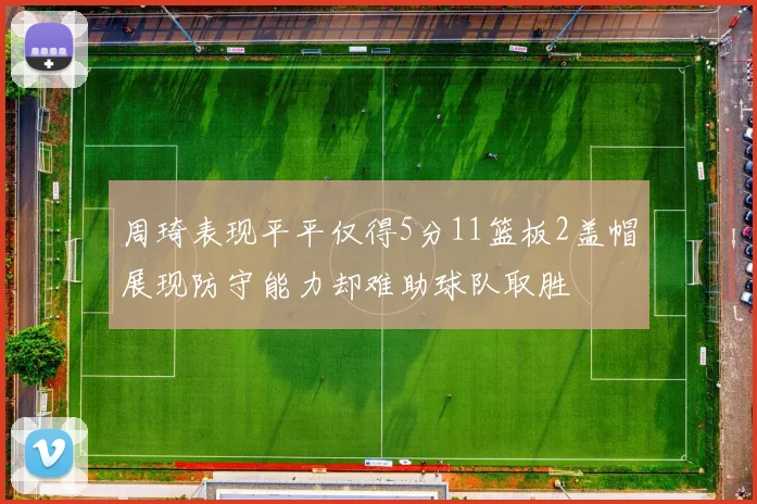 周琦表现平平仅得5分11篮板2盖帽展现防守能力却难助球队取胜