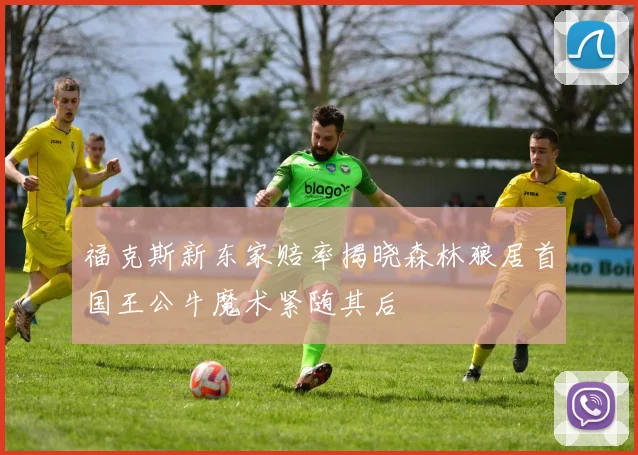 福克斯新东家赔率揭晓森林狼居首国王公牛魔术紧随其后